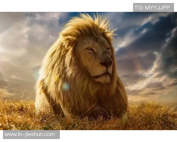 福莱杰与杰森的巅峰对决谁能笑到最后揭开胜负之谜